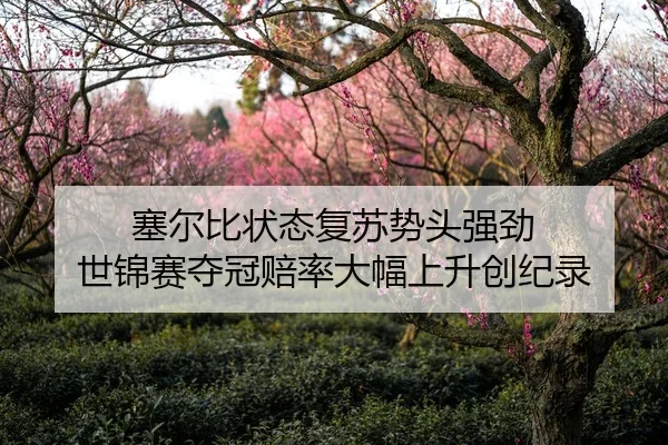 塞尔比状态复苏势头强劲 世锦赛夺冠赔率大幅上升创纪录